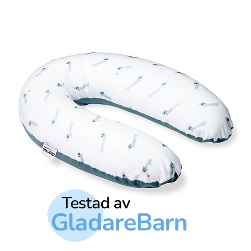 Gravidkudde bäst i test